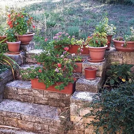 Apartments Ruby Lägenhet